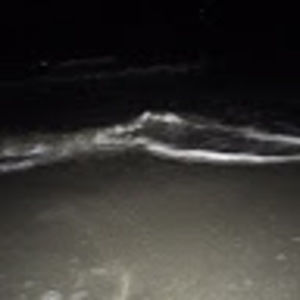 Meet your Posher, Isabella